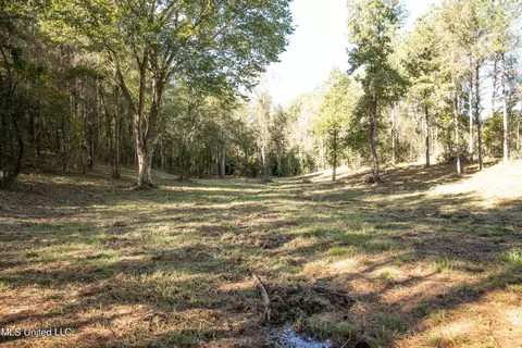 Union Road, Hazlehurst, MS 39083 photo 14