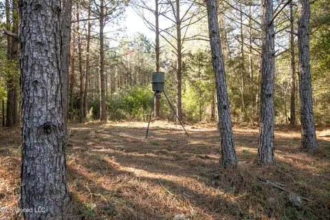 Union Road, Hazlehurst, MS 39083 photo 28