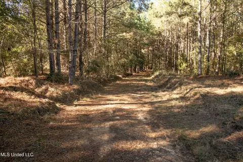 Union Road, Hazlehurst, MS 39083 photo 27