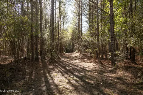 Union Road, Hazlehurst, MS 39083 photo 4