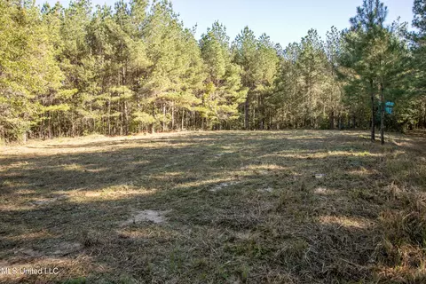 Union Road, Hazlehurst, MS 39083 photo 26