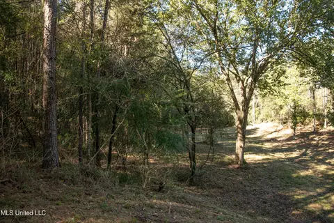 Union Road, Hazlehurst, MS 39083 photo 19