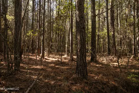 Union Road, Hazlehurst, MS 39083 photo 10
