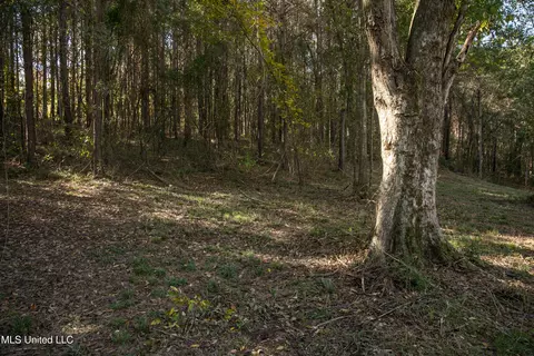 Union Road, Hazlehurst, MS 39083 photo 15
