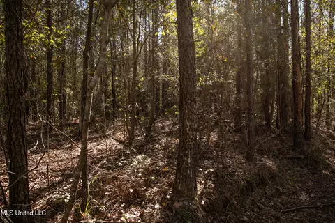 Union Road, Hazlehurst, MS 39083 photo 6
