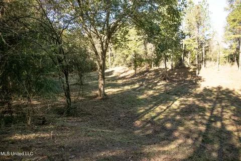 Union Road, Hazlehurst, MS 39083 photo 18