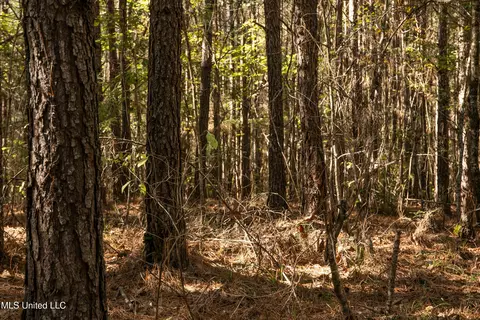 Union Road, Hazlehurst, MS 39083 photo 11
