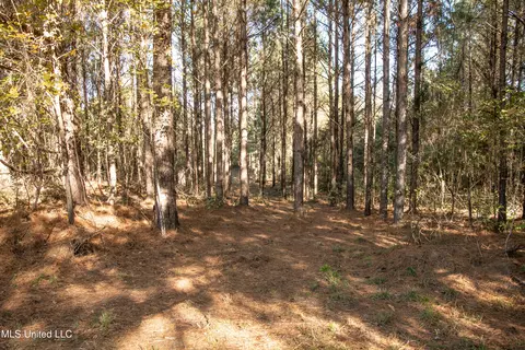 Union Road, Hazlehurst, MS 39083 photo 23