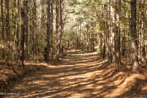 Union Road, Hazlehurst, MS 39083 photo 12