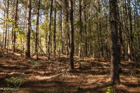 Union Road, Hazlehurst, MS 39083 photo 13
