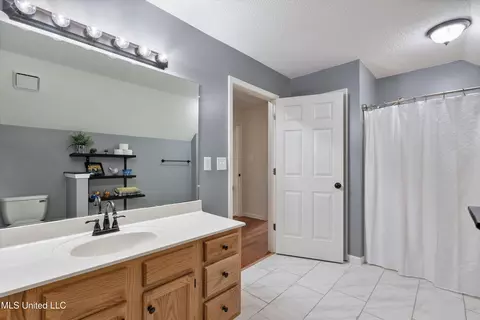 Bath - 3500 Lake Grove Dr, Hernando, MS 38632 photo 5 of 5
