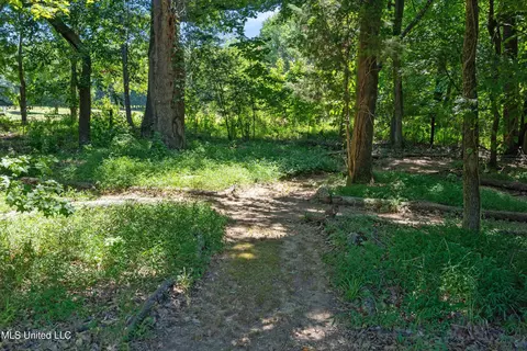 Exterior - 3500 Lake Grove Dr, Hernando, MS 38632 photo 11 of 18