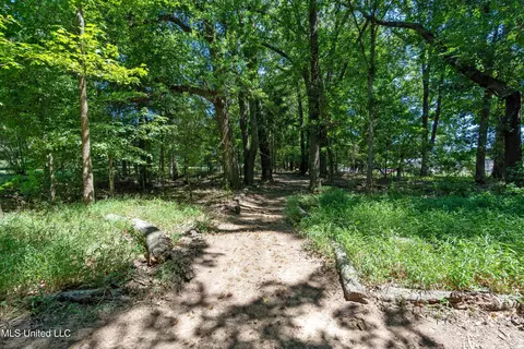 Other - 3500 Lake Grove Dr, Hernando, MS 38632 photo 2 of 14