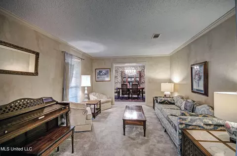 15 S Terrapin Hill Rd, Brandon, MS 39042 photo 6