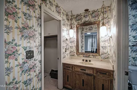 15 S Terrapin Hill Rd, Brandon, MS 39042 photo 24