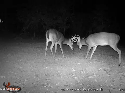 6037 Ms-33, Roxie, MS 39661