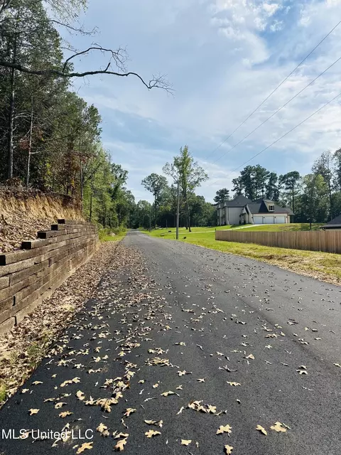 Other - 10187 Woolsey Road Rd, Olive Branch, MS 38654 photo 11 of 11