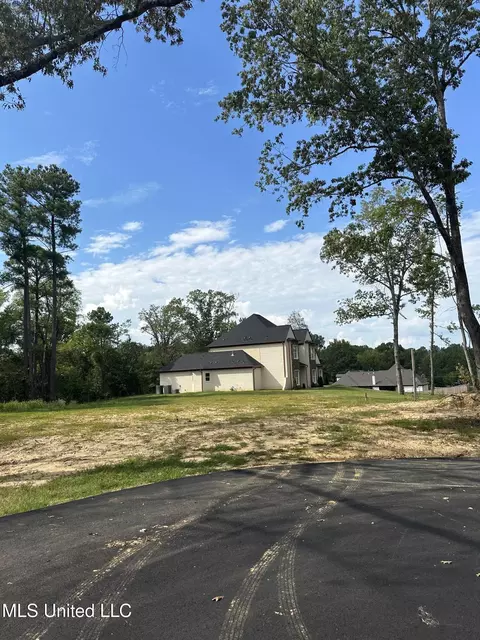 Exterior - 10187 Woolsey Road Rd, Olive Branch, MS 38654 photo 10 of 10