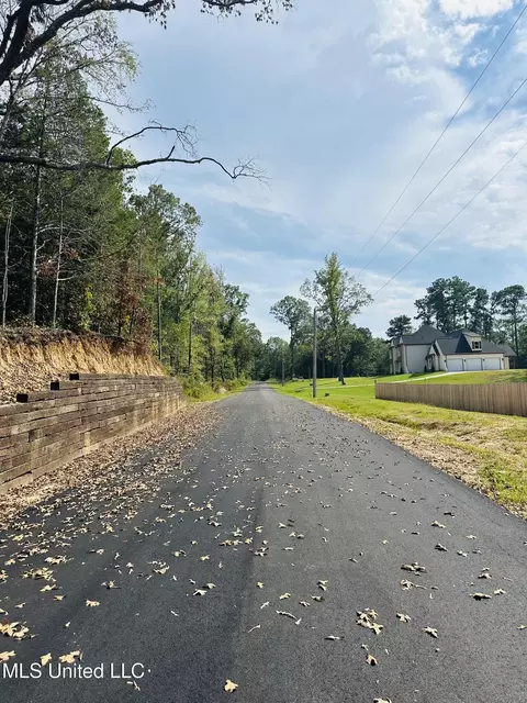 Other - 10187 Woolsey Road Rd, Olive Branch, MS 38654 photo 10 of 11