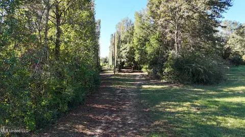 1012 Anchor Lake Rd, Carriere, MS 39426