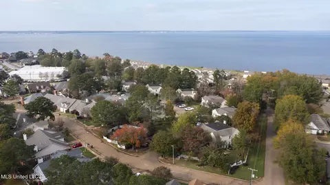View/Area - 869 Harbor Bend Dr, Brandon, MS 39047 photo 3 of 4