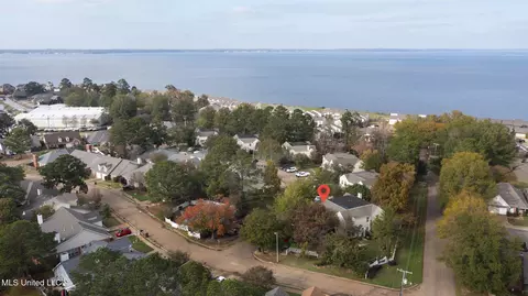 View/Area - 869 Harbor Bend Dr, Brandon, MS 39047 photo 4 of 4