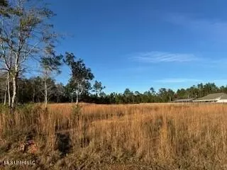 19195 Sues Rd, Kiln, MS 39556