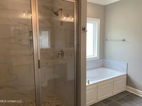 Bath - 131 Salus Bnd, Clinton, MS 39056 photo 1 of 3