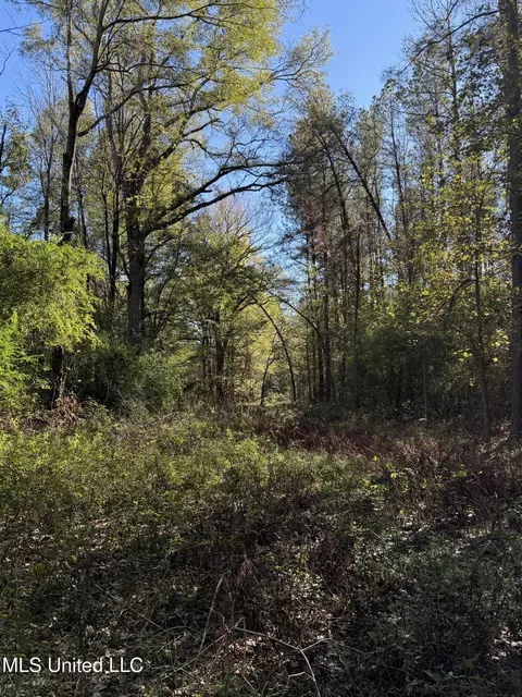 2770 Boyd Rd, Utica, MS 39175 photo 18