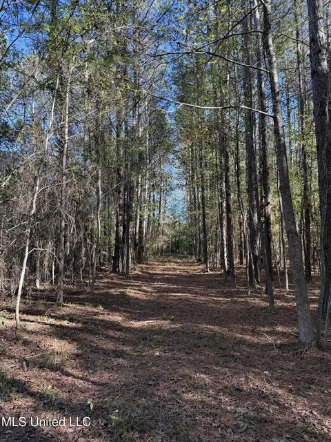 2770 Boyd Rd, Utica, MS 39175 photo 14