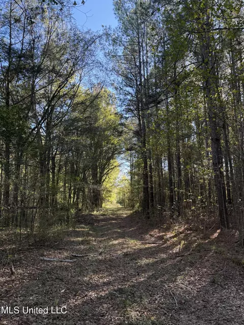2770 Boyd Rd, Utica, MS 39175 photo 2