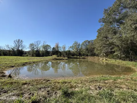2770 Boyd Rd, Utica, MS 39175 photo 19