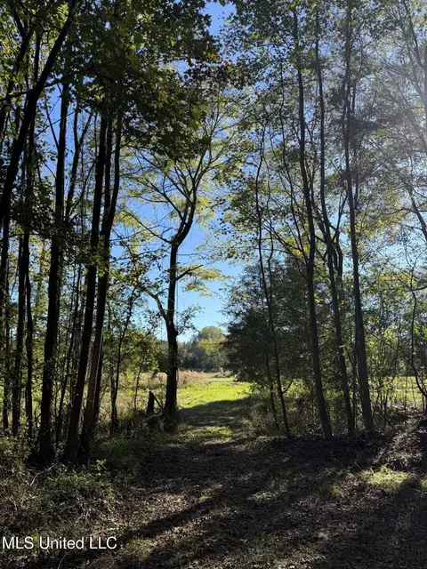 2770 Boyd Rd, Utica, MS 39175 photo 4