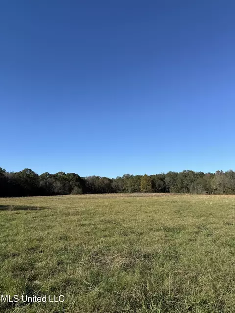 2770 Boyd Rd, Utica, MS 39175 photo 7