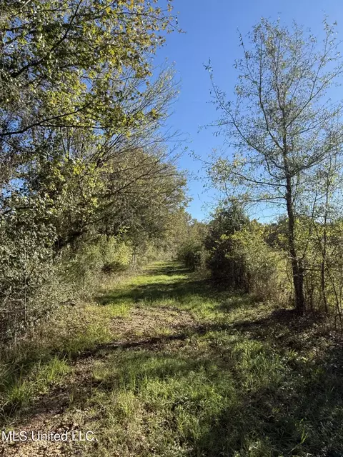 2770 Boyd Rd, Utica, MS 39175 photo 6