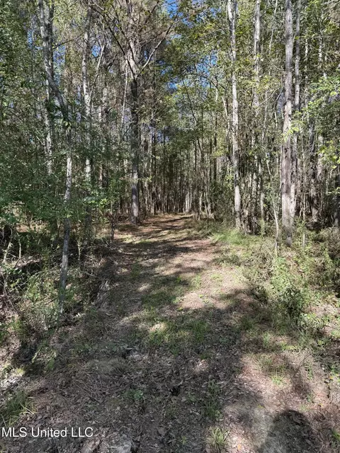 2770 Boyd Rd, Utica, MS 39175 photo 9