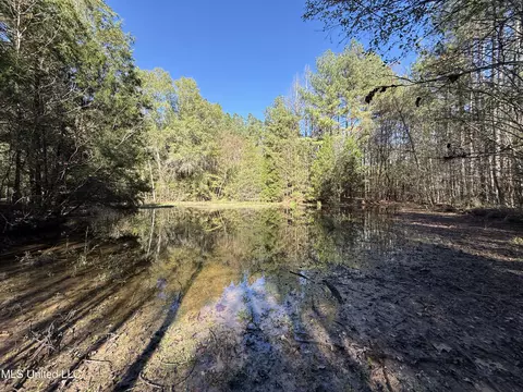 2770 Boyd Rd, Utica, MS 39175 photo 12