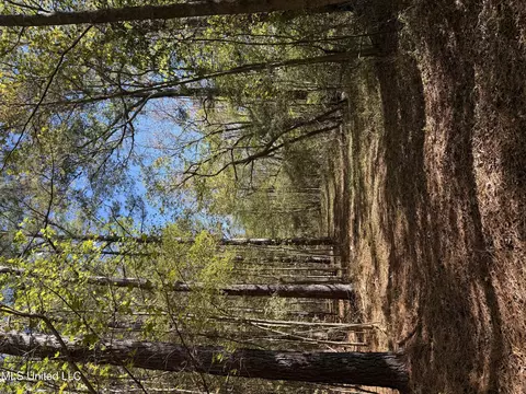2770 Boyd Rd, Utica, MS 39175