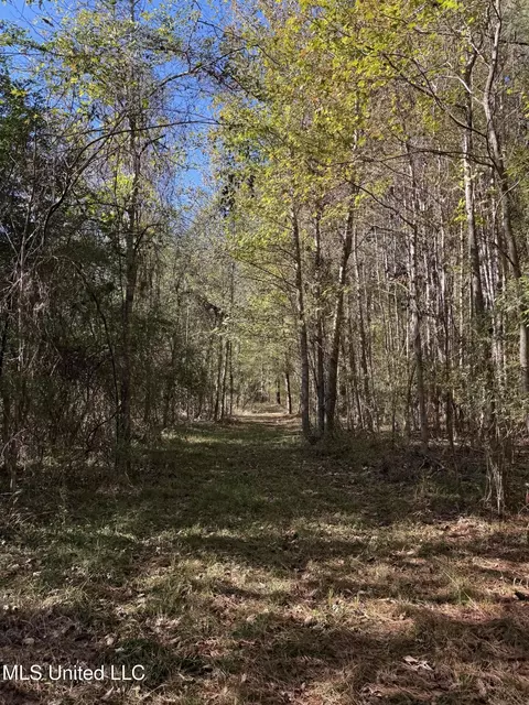 2770 Boyd Rd, Utica, MS 39175 photo 3