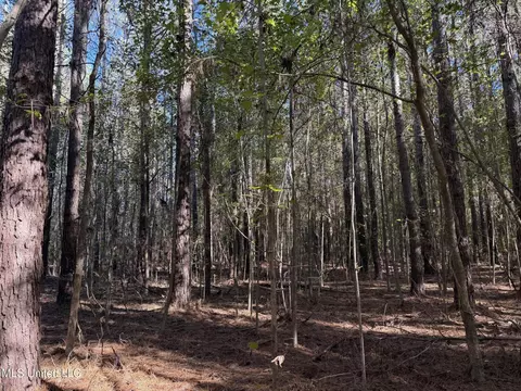 2770 Boyd Rd, Utica, MS 39175 photo 10