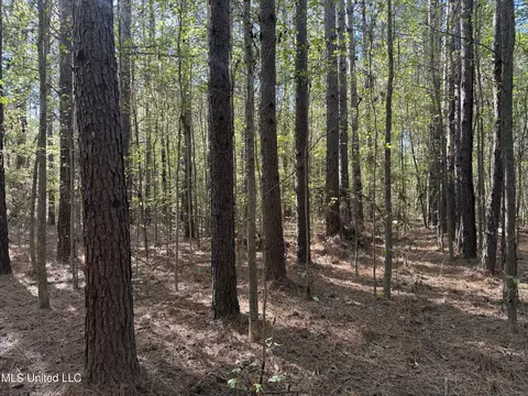 2770 Boyd Rd, Utica, MS 39175 photo 13