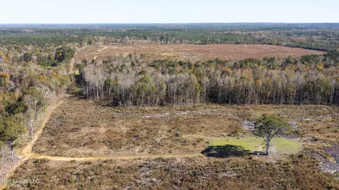 347 14 Acres Bridges Rd, Brandon, MS 39042 photo 19