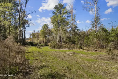 347 14 Acres Bridges Rd, Brandon, MS 39042 photo 34