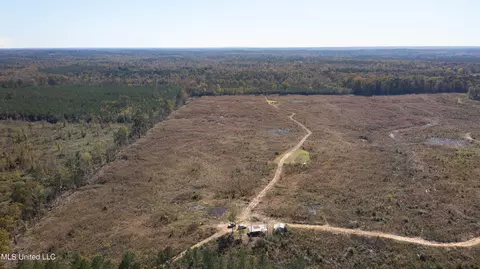 347 14 Acres Bridges Rd, Brandon, MS 39042 photo 13