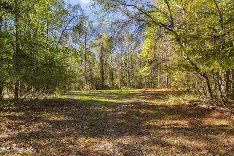347 14 Acres Bridges Rd, Brandon, MS 39042 photo 20