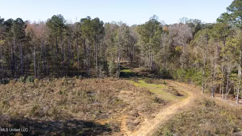 347 14 Acres Bridges Rd, Brandon, MS 39042 photo 15