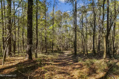 347 14 Acres Bridges Rd, Brandon, MS 39042 photo 25