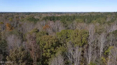 347 14 Acres Bridges Rd, Brandon, MS 39042 photo 36