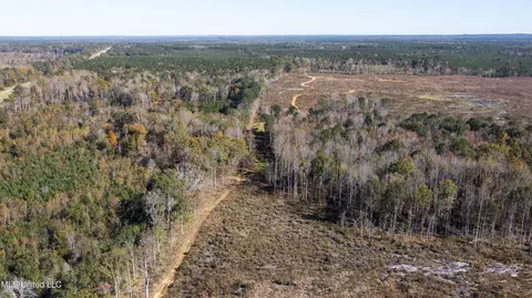 347 14 Acres Bridges Rd, Brandon, MS 39042 photo 18