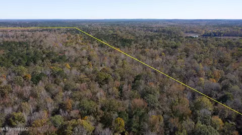 347 14 Acres Bridges Rd, Brandon, MS 39042 photo 7